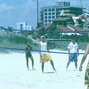 Jackass: The Movie - Rotten Tomatoes