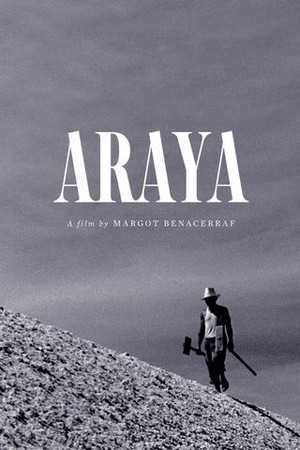 Araya poster