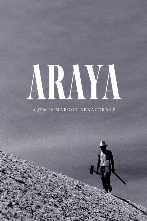 Araya poster