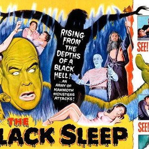 The Black Sleep photo 9