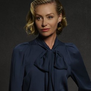 Portia De Rossi as Elizabeth North