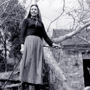 The Song of Bernadette (1943) photo 6