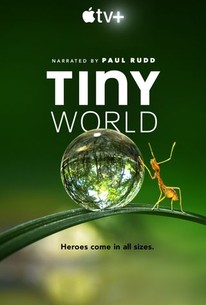 Watch trailer for Tiny World