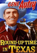 Roundup Time in Texas poster image