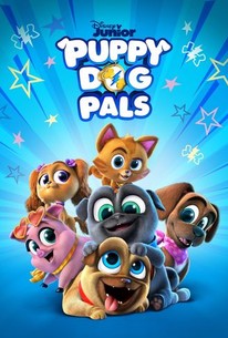 When does puppy dog pals season 4 come out?