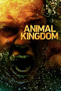 Animal Kingdom Season 3 Rotten Tomatoes