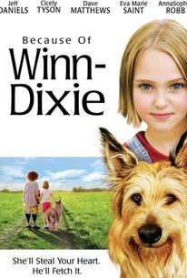 Because of Winn-Dixie (2005) - Rotten Tomatoes