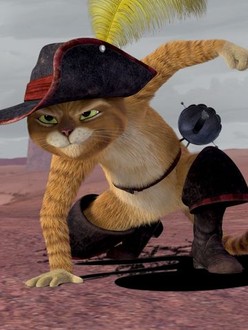 Cat starstruck boot deals