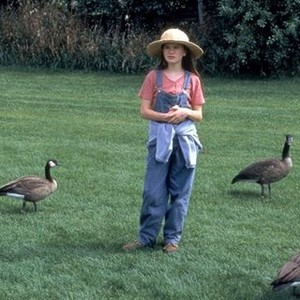 Fly Away Home (1996) photo 7