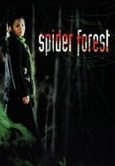 Spider Forest poster image