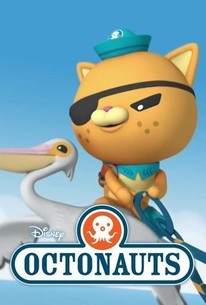 Octonauts  Rotten Tomatoes