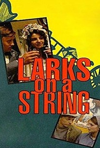Larks on a String Rotten Tomatoes