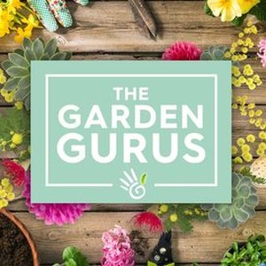 The Garden Gurus Rotten Tomatoes The Garden Gurus Rotten Tomatoes