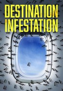 Destination: Infestation poster image