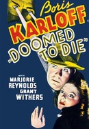 Doomed to Die poster image
