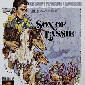 Son of Lassie (1945) photo 14