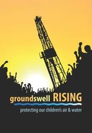 Groundswell Rising, Protecting Our Children's Air and Water poster image