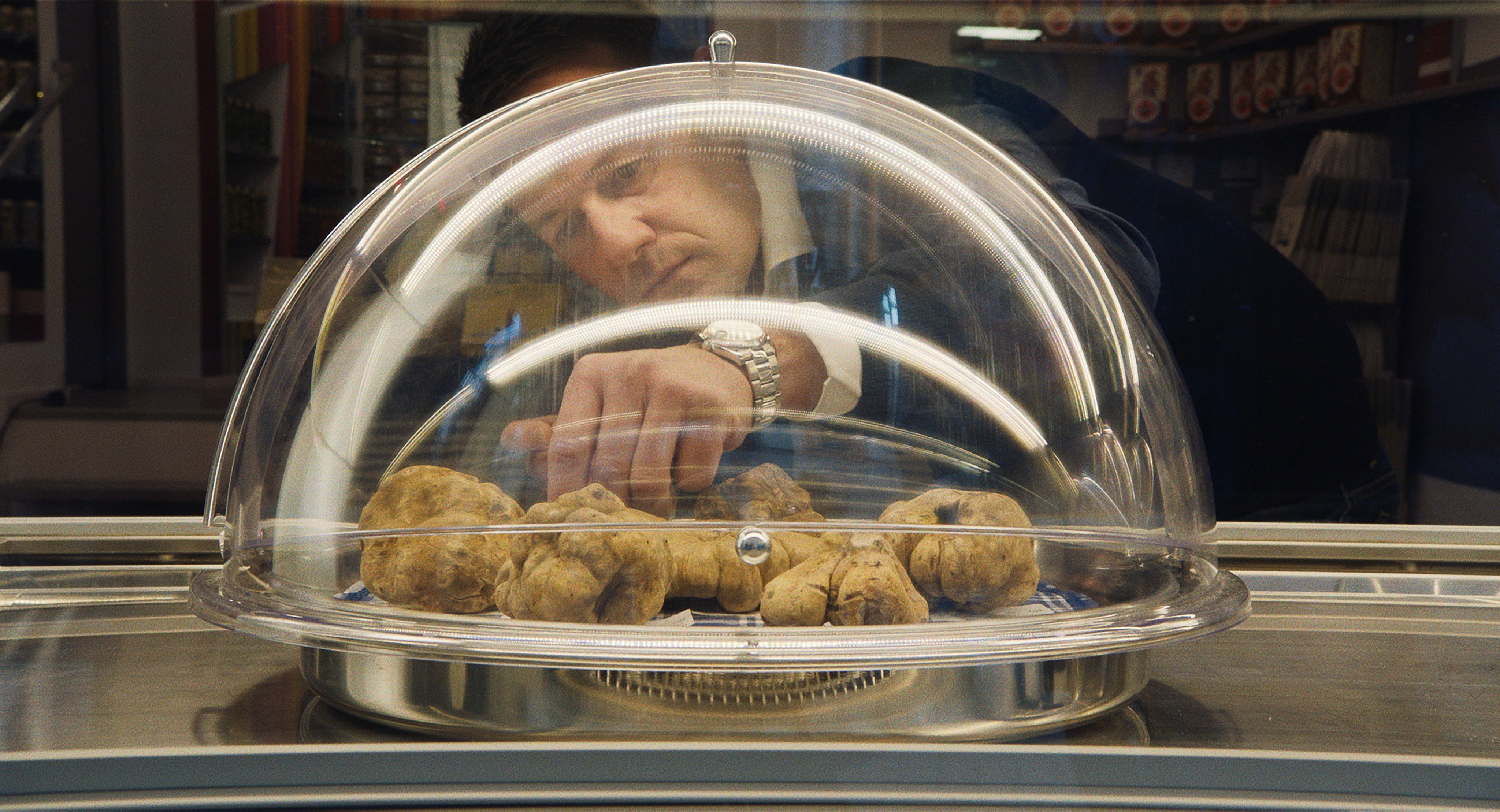 The Truffle Hunters Trailer 1 Trailers & Videos Rotten Tomatoes