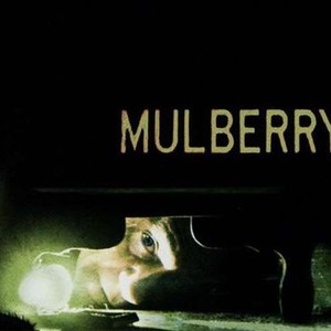Mulberry Street photo 11