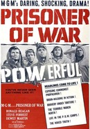 Prisoner of War poster image