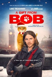Watch trailer for A Gift From Bob