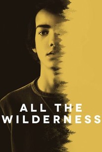 All the Wilderness poster
