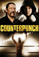 Counterpunch poster image