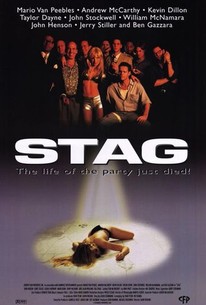 Stag poster