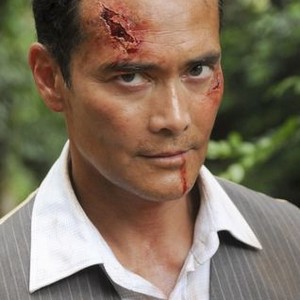 Hawaii Five-O, Mark Dacascos, 'Ua Hopu (Caught)', Season 2, Ep. #22, 05/07/2012, ©CBS