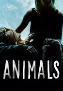 Animals poster image
