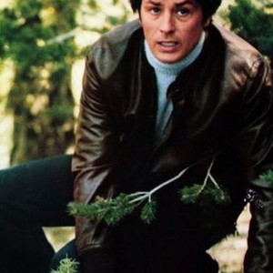 Like a Boomerang (1976) photo 3