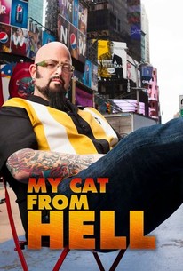 My Cat From Hell Season 10 Rotten Tomatoes