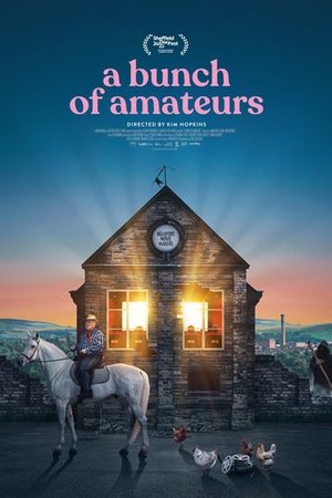 A Bunch of Amateurs poster