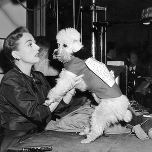 HARRIET CRAIG, Joan Crawford posting a 'do not feed' note on her French poodle, Cliquot, between scenes, on set, 1950