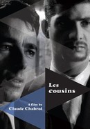 The Cousins poster image