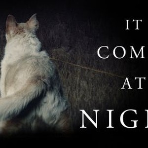 It Comes at Night photo 8