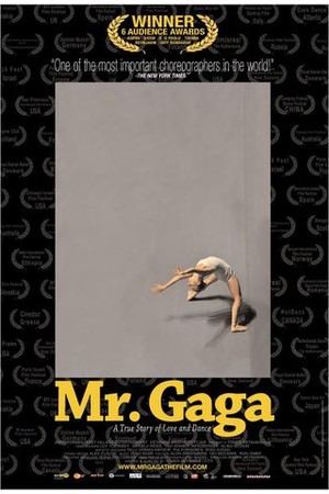 Mr. Gaga poster