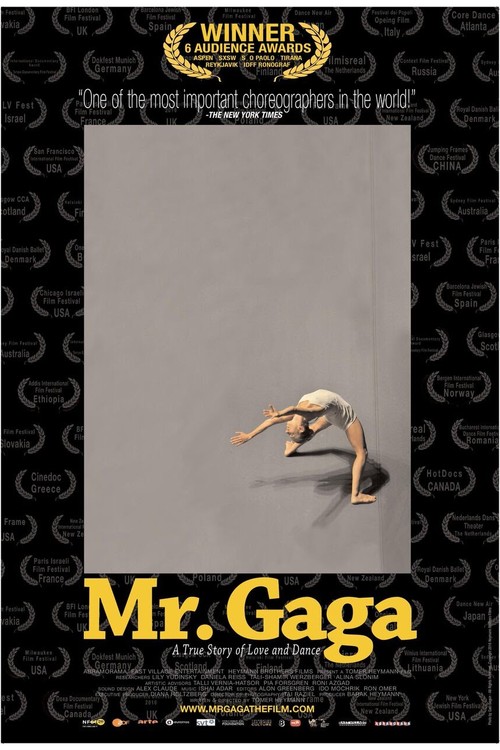 Mr. Gaga poster