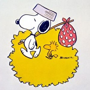 Snoopy, Come Home (1972) photo 7