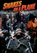 Snakes on a Plane poster image