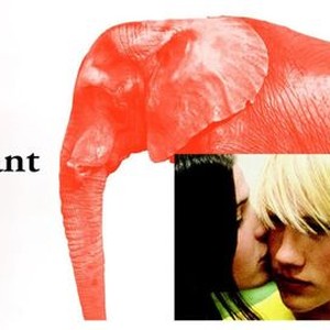 "Elephant photo 4"
