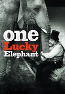 One Lucky Elephant poster image