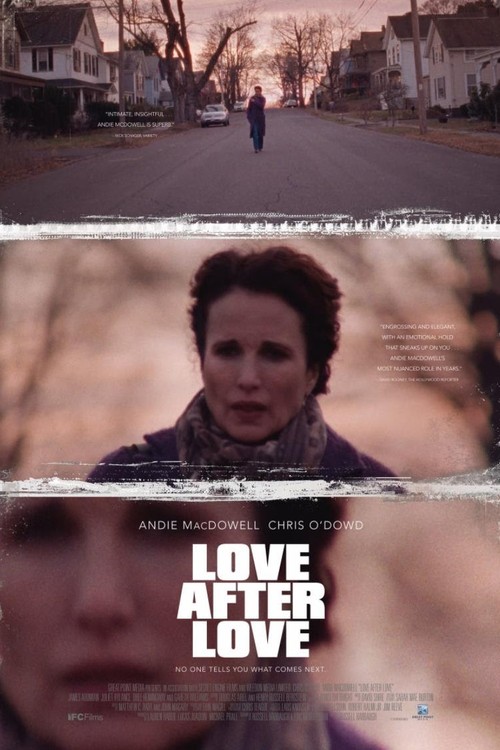 Love After Love poster