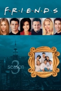 Friends - Season 3 Episode 7 - Rotten Tomatoes