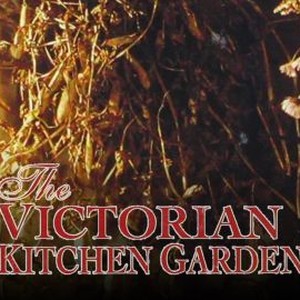 Victorian Kitchen Garden - Rotten Tomatoes