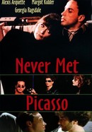 Never Met Picasso poster image