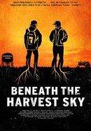 Beneath the Harvest Sky poster image