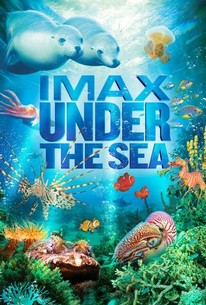 Under the Sea