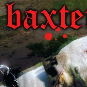 "Baxter photo 4"