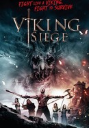 Viking Siege poster image